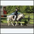 durdress27_0014