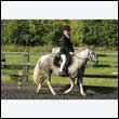 durdress27_0015