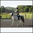 durdress27_0029