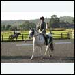 durdress27_0030
