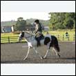 durdress27_0032