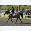 durdress27_0036