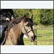 durdress27_0039