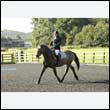 durdress27_0040