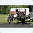 durdress27_0046
