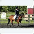 durdress27_0056