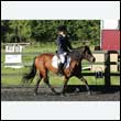 durdress27_0057