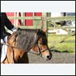 durdress27_0060