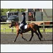 durdress27_0063