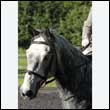 durdress27_0067
