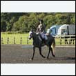 durdress27_0071