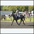 durdress27_0072