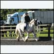 durdress27_0078