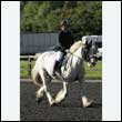 durdress27_0082