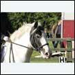 durdress27_0084