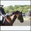 durdress27_0089