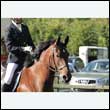durdress27_0093