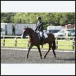 durdress27_0095