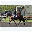 durdress27_0098