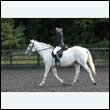 durdress27_0137