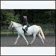 durdress27_0138