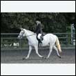 durdress27_0143