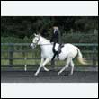 durdress27_0146