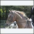 durdress27_0154