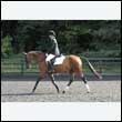 durdress27_0158