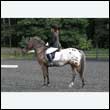 durdress27_0163