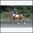 durdress27_0164