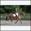 durdress27_0167