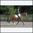durdress27_0168
