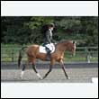 durdress27_0169
