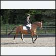 durdress27_0170