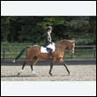 durdress27_0171