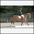 durdress27_0177
