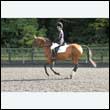 durdress27_0183