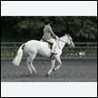durdress27_0208