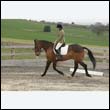 durdress9_0036