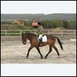 durdress9_0037