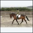 durdress9_0038