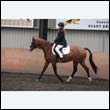 durdress9_0045