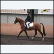 durdress9_0046