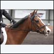 durdress9_0049