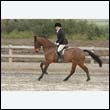 durdress9_0054