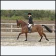 durdress9_0055
