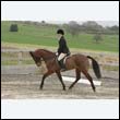durdress9_0056