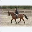 durdress9_0057