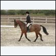 durdress9_0058
